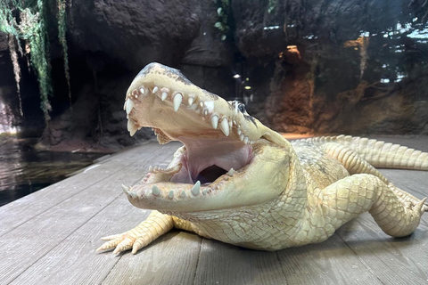 Nouvelle-Orléans : Billet pour l'Aquarium et l'Insectarium Audubon