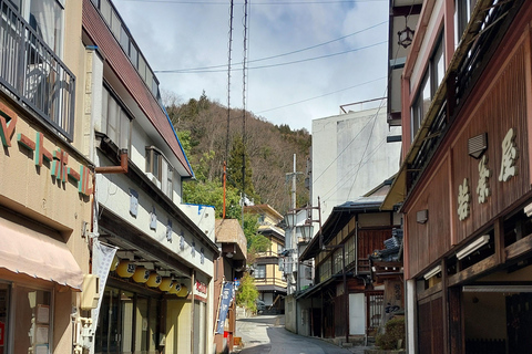 Nagano: Snow Monkey Park, Soba Lunch, and Shibu Onsen Tour Tour + Onsen Stamp Towel