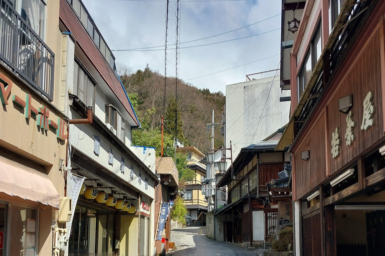 Nagano: Snow Monkey Park, Soba Lunch, and Shibu Onsen Tour Tour + Onsen Stamp Towel