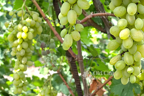 Shirvan Eco-Tour: Gazelles, Birdwatching & Village Lunch Private tour
