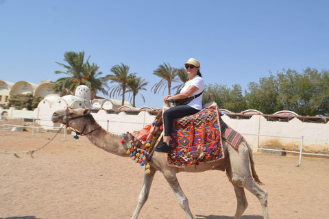 Sunset Hurghada Camel Ride Tour Desert & Beach With Sea Veiw Camel Ride Tour for 2-Hours with Dinner, Show, & Stargazing