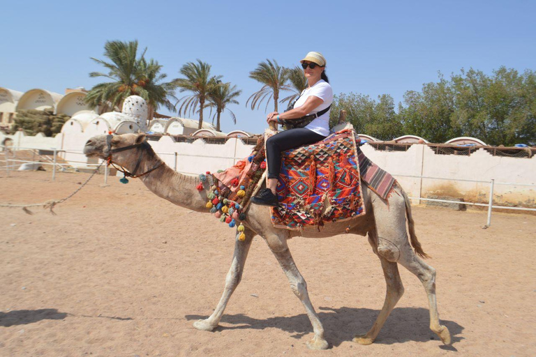 Sunset Hurghada Camel Ride Tour Desert & Beach With Sea Veiw Camel Ride Tour for 2-Hours with Dinner, Show, & Stargazing