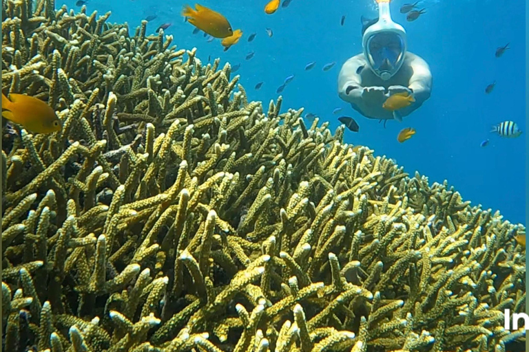 Depuis l&#039;île de Gili : Après-midi de plongée avec masque et tuba 3 îles