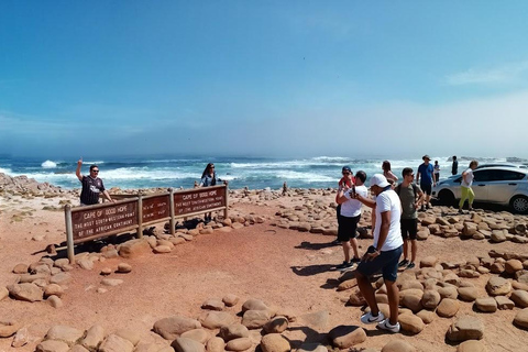 Tour particular pelo Cabo da Boa Esperança e Pinguins