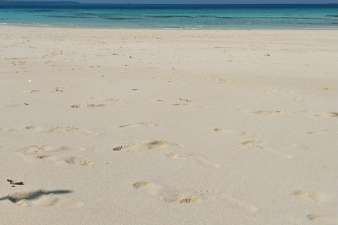 Zanzibar: Nakupenda zandbank dagtrip vanuit Stone Town