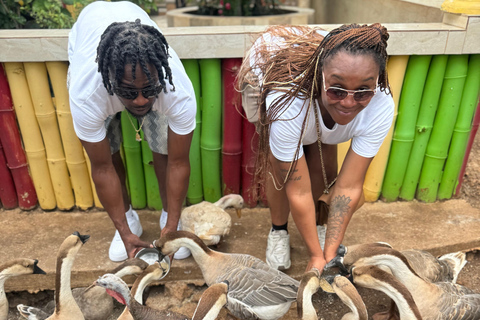 Exotic bird tour and Souvenir Shopping from Montego Bay