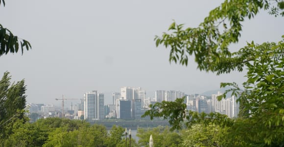 Einzigartige Erfahrung: Picknick am Hangang, Brettspiel, Barbecue