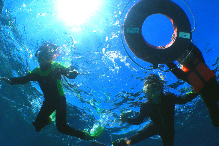 Naha: Excursão de 1 dia para mergulho com snorkel nas Ilhas KeramaNaha: excursão de mergulho com snorkel de 1 dia nas Ilhas Kerama