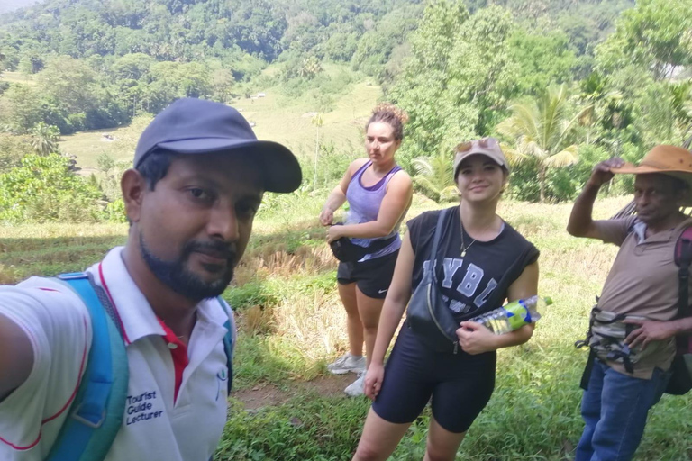 Kandy: Knuckles Mountain Range Full-Day Hike with Lunch