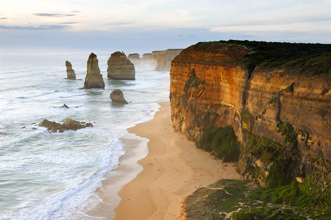 Från Melbourne: Great Ocean Road guidad heldagsturFrån Melbourne: Heldagsutflykt på &quot;Great Ocean Road&quot;