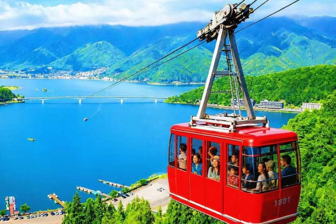 Tokyo:Mount Fuji Explorer Private Tour(Customised)With Guide