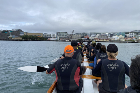 Wellington: Tour guiado em Waka (experiência cultural maori)