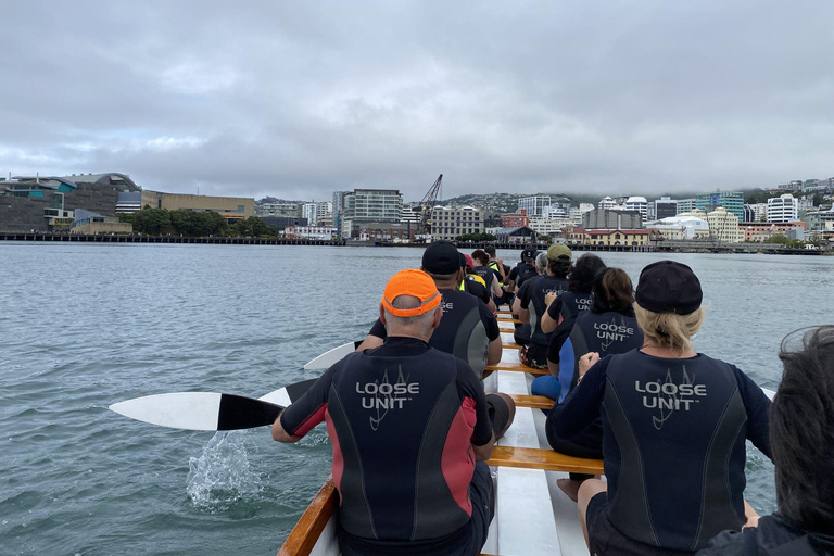 Wellington: Tour guiado em Waka (experiência cultural maori)