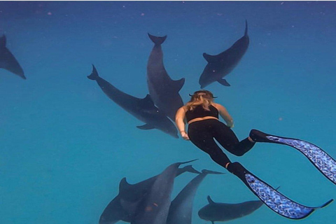 Zanzibar: snorkelen en dolfijnen kijken op Mnemba Island