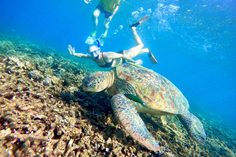 Ko Tao: Vintage Boat-Small Group Snorkeling Day Trip w/Meals