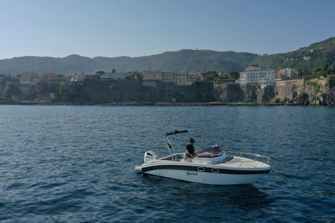 From Sorrento: Private Capri Tour Next 22 Up to 5 people