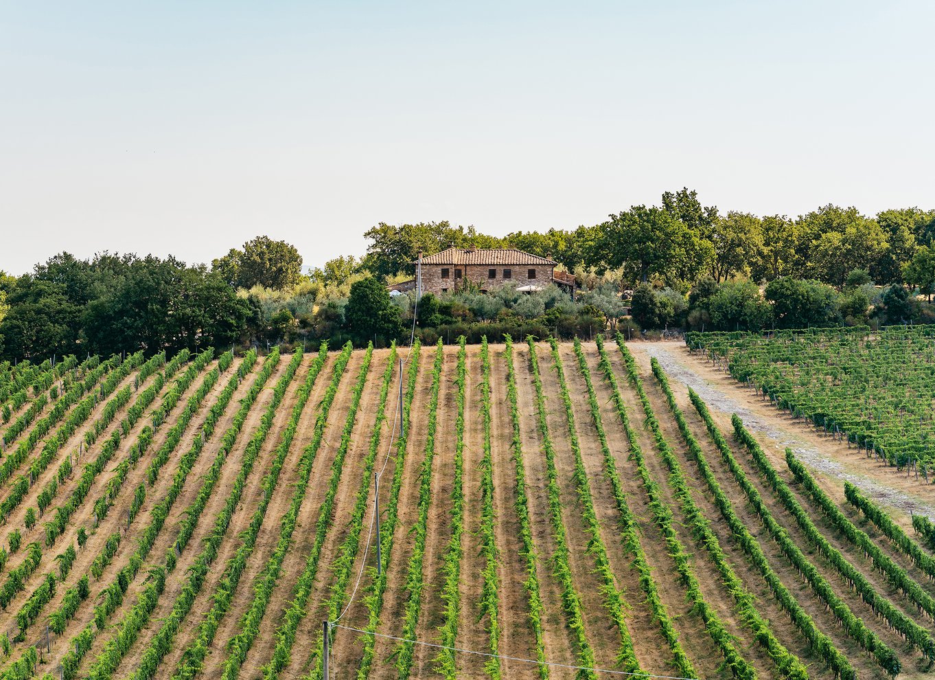 Fra Firenze: Vinsmagningstur i lille gruppe til Toscana