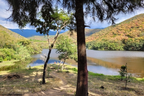 Oaxaca : Randonnée à vélo, arbre et lac Tule