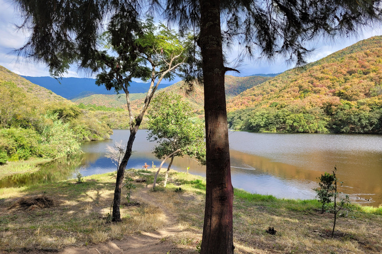 Oaxaca : Randonnée à vélo, arbre et lac Tule