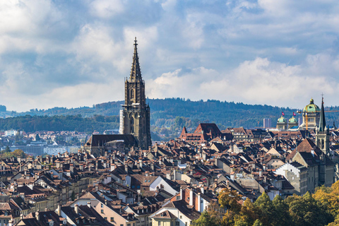 Bonn in 1 Day: Walking Tour with Digital Guide€15.00 - Duo ticket