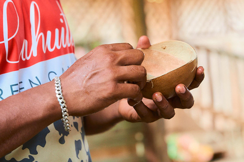 Cahuita National Park+Bribri Chocolate Tour+Waterfalls Tour+Lunch