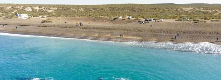 Puerto Madryn : visite d'une demi-journée d'observation des baleines à El Doradillo