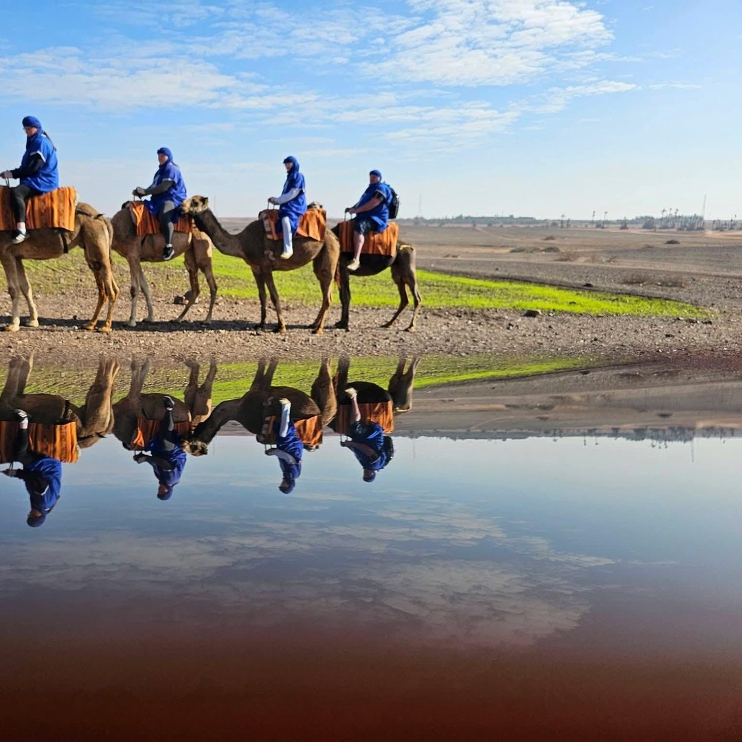 Marrakech : balade à dos de chameau dans la palmeraie