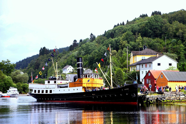 Bergen: Osterøy E-Bike Tour, Fjord Safari & Lunch