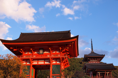 Osaka/Kyoto: Private Transfer to/from Kansai Airport From Osaka Region to Kansai Airport (KIX)