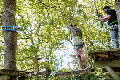 Windermere: Treetop Course (Full Trek)