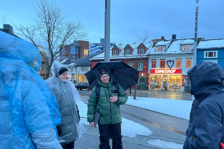 Tromsø City Walking Tour with Sámi History & Mythology