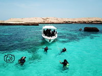 Muscat Dimaniyat Islands Snorkeling Tour - Housity