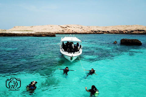 Excursion de plongée en apnée dans les îles Dimaniyat l&#039;après-midiexcursion en bateau privé