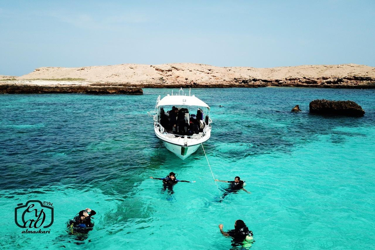 Excursion de plongée en apnée dans les îles Dimaniyat l&#039;après-midiexcursion en bateau privé