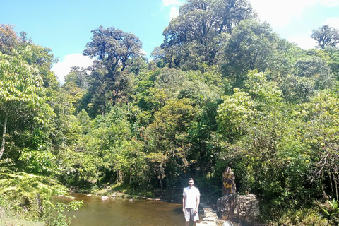 Chauffeured Ride to Silver and Love Waterfall, Lonely Tree