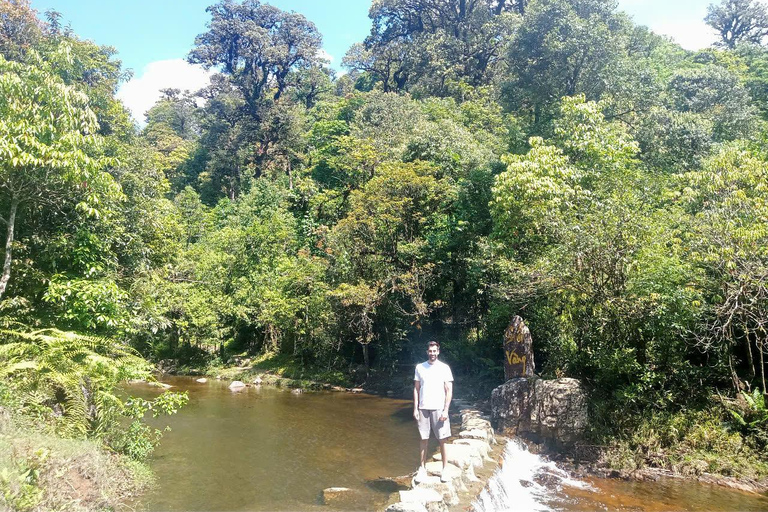 Chauffeured Ride to Silver and Love Waterfall, Lonely Tree