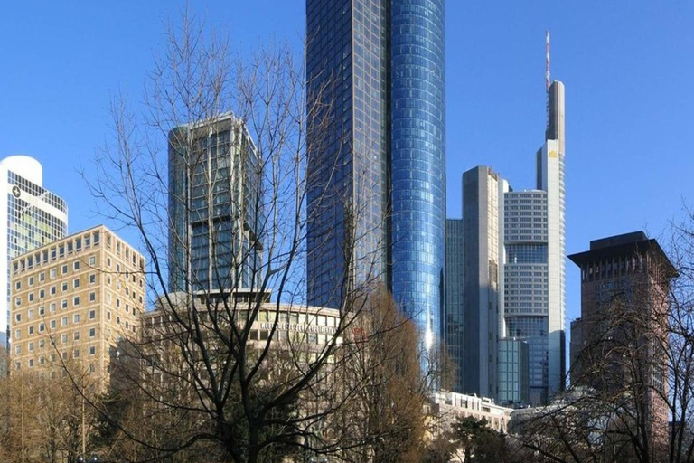 Frankfurt&#039;s art, nature and food: private tour