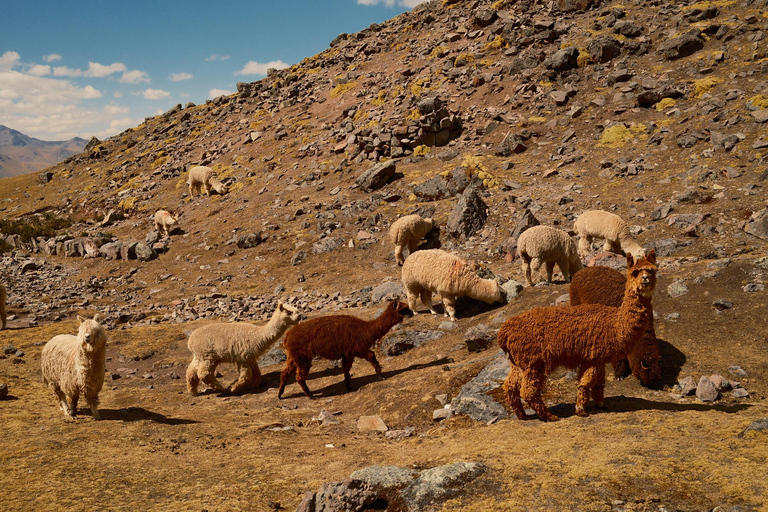 From Cusco: Ausangate 7 Lakes with Hot Springs Full Day Hike