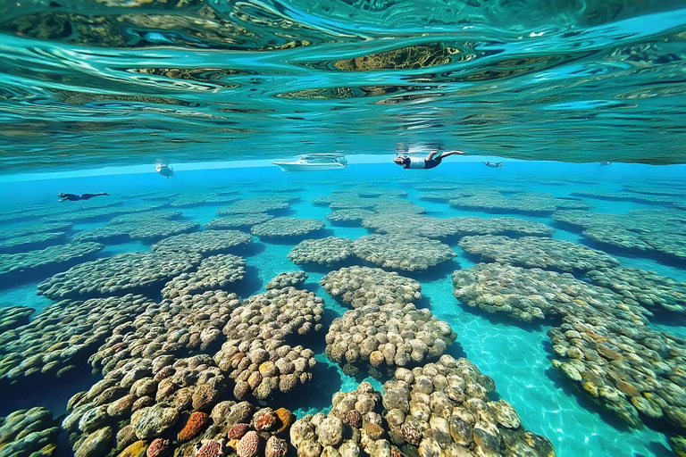 Sharm El Sheikh : Excursion de plongée en apnée à l&#039;île de Tiran avec déjeuner