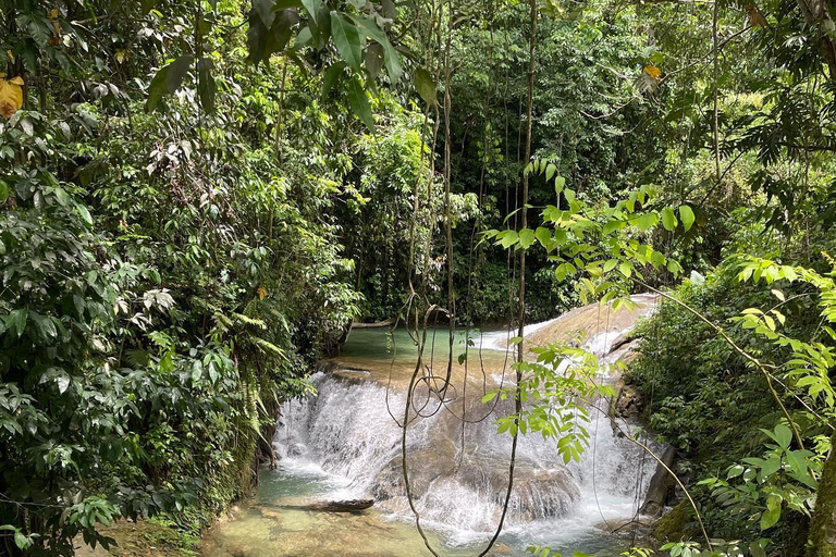 Benta River Falls and Ricks Cafe Tour From Falmouth/ Trelawny