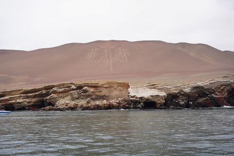 Depuis Lima : Paracas, les îles Ballestas et l&#039;oasis de Huacachina...