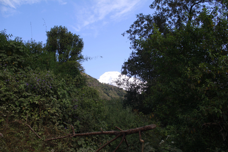 Från Kathmandu: 7 dagars Annapurna Base Camp Himalayan Trek