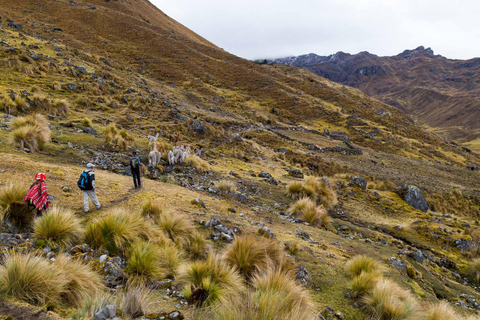 From Cusco: 4-Day Lares Trek to Machu Picchu