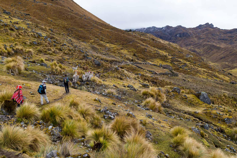 From Cusco: 4-Day Lares Trek to Machu Picchu