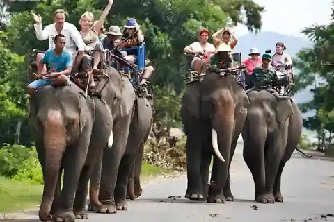 Desde Nha Trang: Tour de 1 día por Dalat