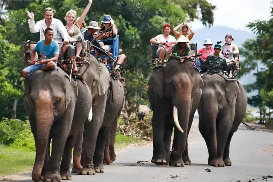 Von Nha Trang: 1 Tag Dalat Tour. Foto: GetYourGuide