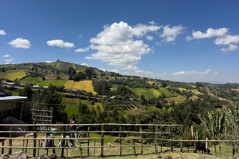 Addis Ababa: Entoto St. Raguel Church & Local Culture Tour