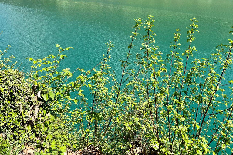 Luzern: privé-tour met e-bike langs 4 meren en boottocht op het VierwoudstedenmeerLuzern: privé-tour met e-bike langs 4 meren en cruise op het Vierwoudstedenmeer