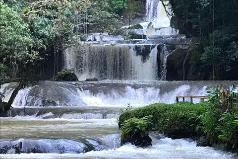 Jamaica: Full-Day YS Falls and Black River Safari Tour
