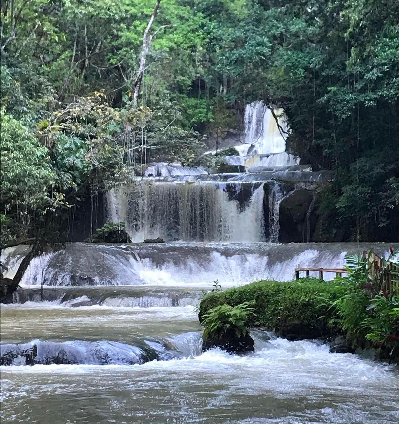 Jamaika: Ganztagestour zu den YS Falls und Black River Safari Tour